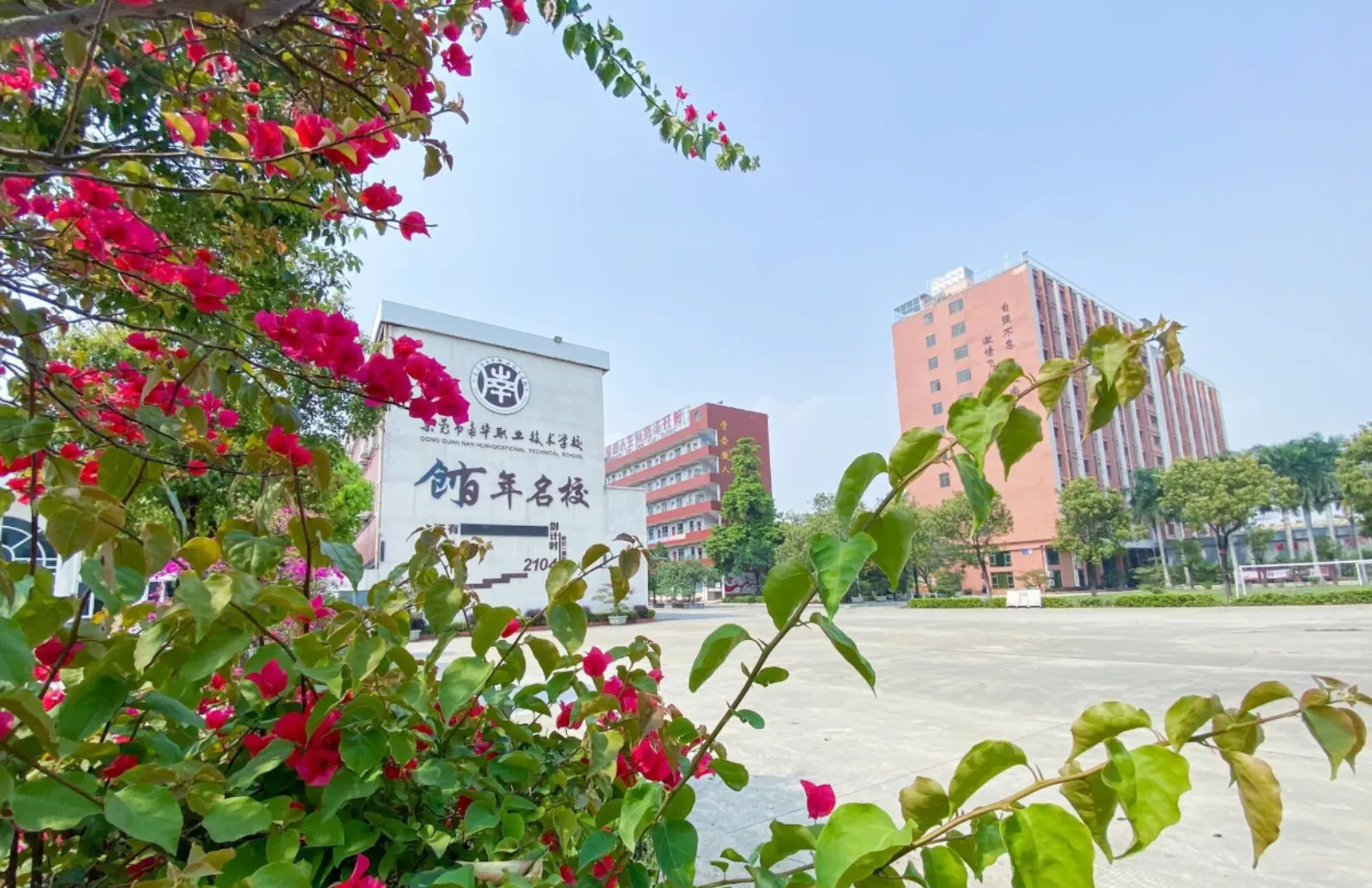 合作试点学校校园